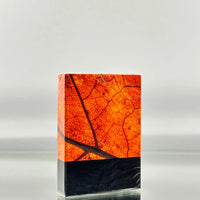 MYNOC: Leaf